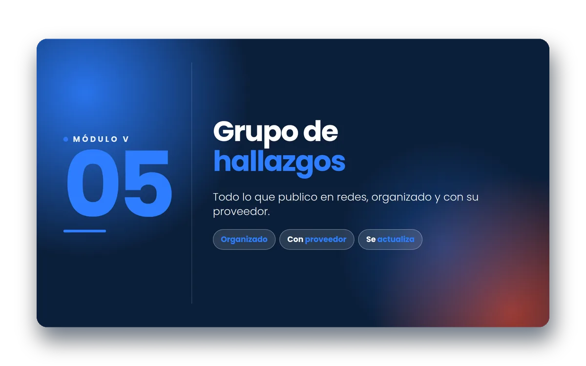 Bono: Grupo de hallazgos, exclusivo del acceso de por vida